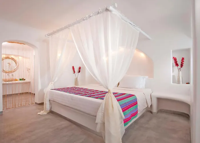 앱솔루트 블리스