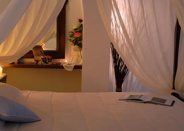 앱솔루트 블리스