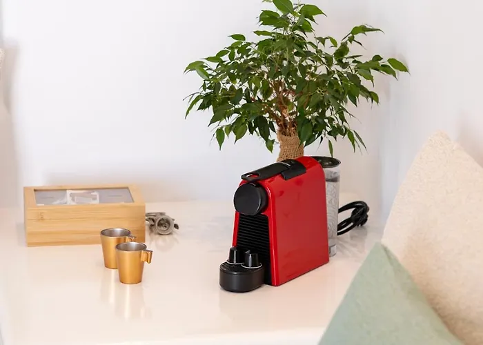 호텔 앱솔루트 블리스 이메로비글리